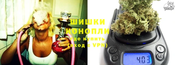 крисы Абаза