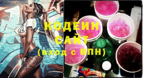 крисы Абаза