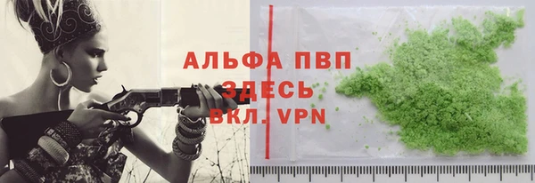 крисы Абаза
