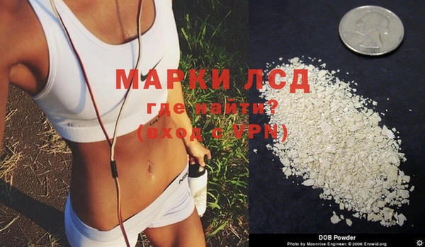 крисы Абаза