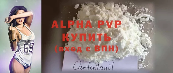 крисы Абаза
