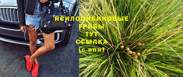 крисы Абаза