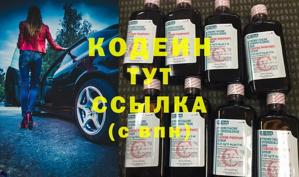крисы Абаза