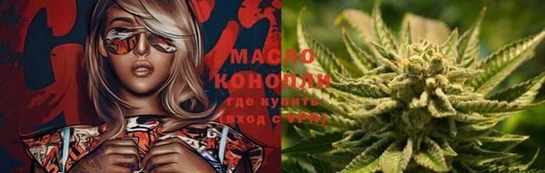 крисы Абаза