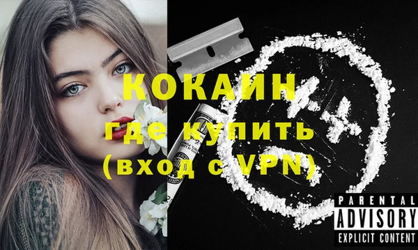 крисы Абаза