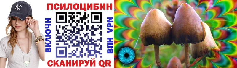 где можно купить наркотик  Монино  Псилоцибиновые грибы мухоморы 